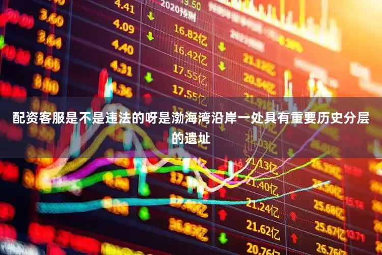 配资客服是不是违法的呀是渤海湾沿岸一处具有重要历史分层的遗址