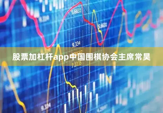 股票加杠杆app中国围棋协会主席常昊